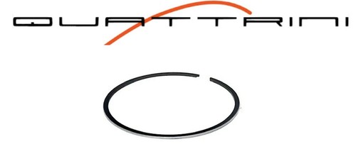 Segmento quattrini m1l m1b - quattrini,